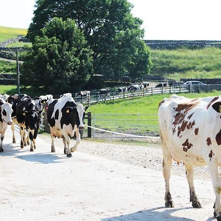 Fernydale Farm Bed & Breakfast Earl Sterndale Esterno foto